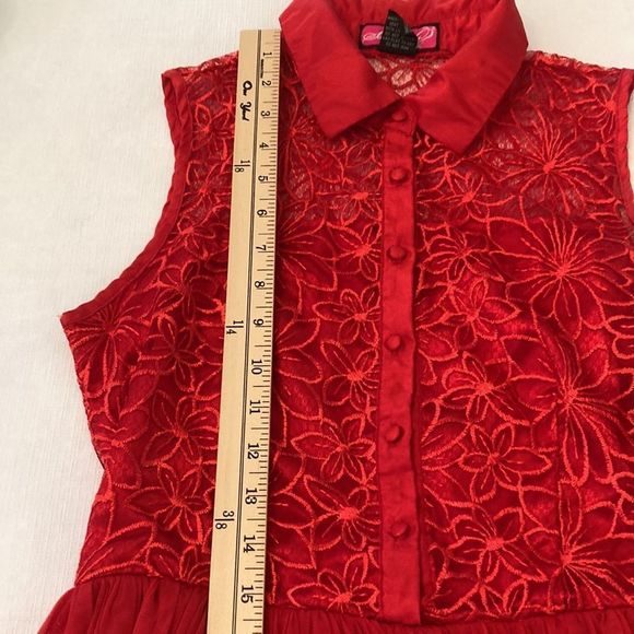 Say What? Dress Red Sleeveless Lace Stain Chiffon Fit and Flair Holiday Dress - Picture 14 of 16